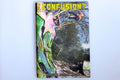 Confusion Issue 29 image 0